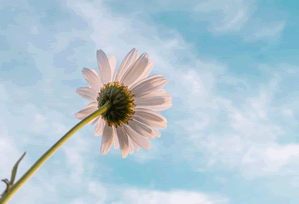 G+D: Driving Fintech Innovation Through Instant Issuance: Beyond the Press Release